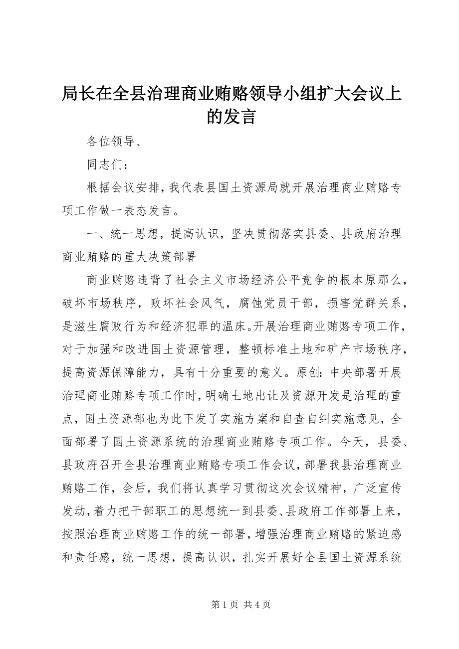 2023年局长在全县治理商业贿赂领导小组扩大会议上的讲话.docx_第1页