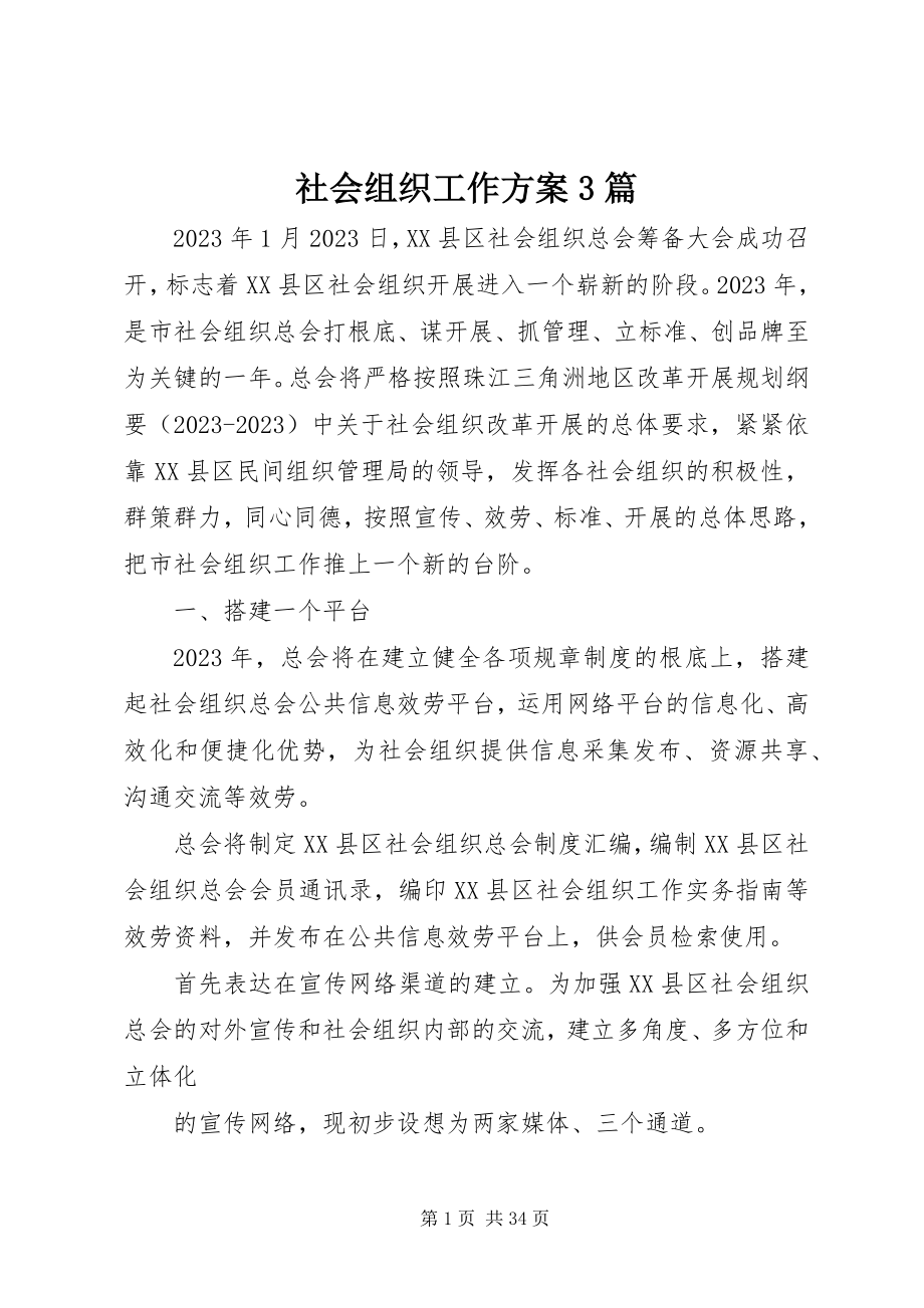 2023年社会组织工作计划3篇.docx_第1页