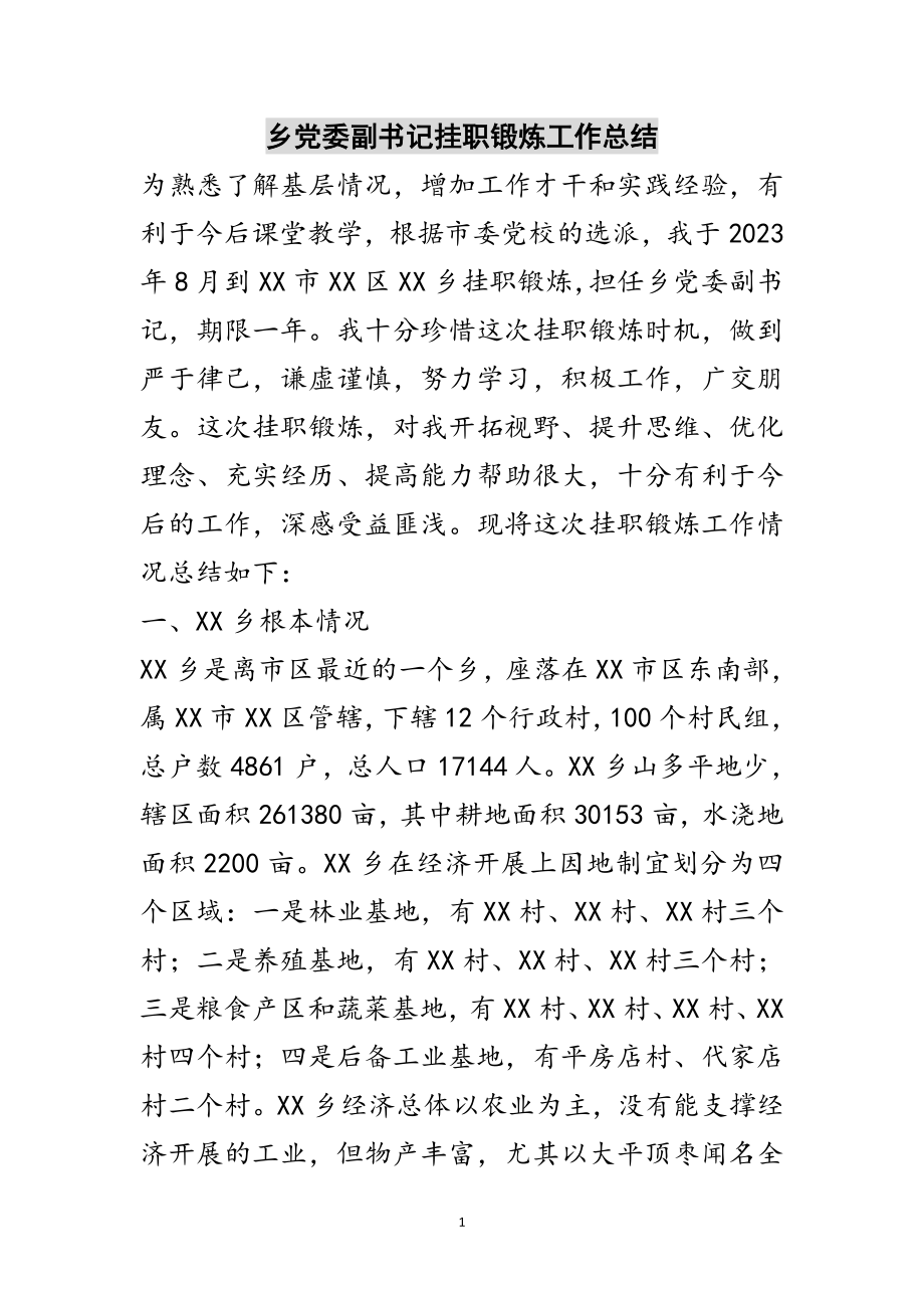 2023年乡党委副书记挂职锻炼工作总结范文.doc_第1页