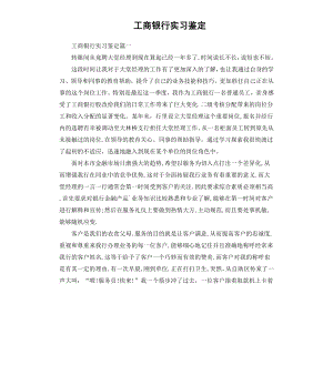 工商银行实习鉴定.docx