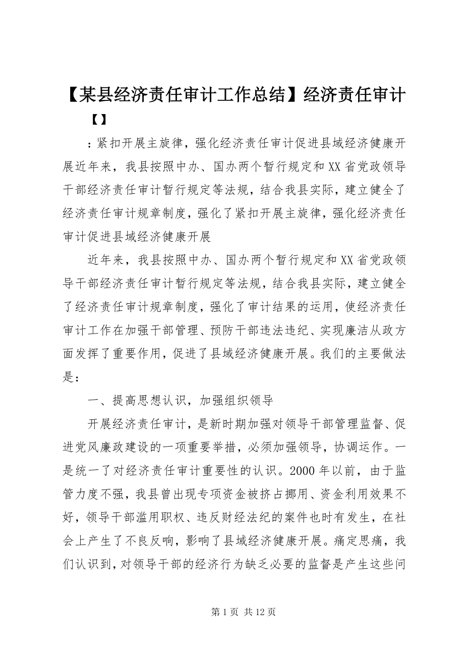 2023年某县经济责任审计工作总结经济责任审计.docx_第1页