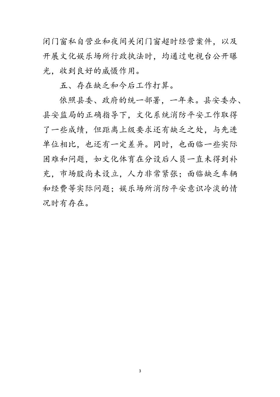 2023年文化局消防情况汇报材料范文.doc_第3页