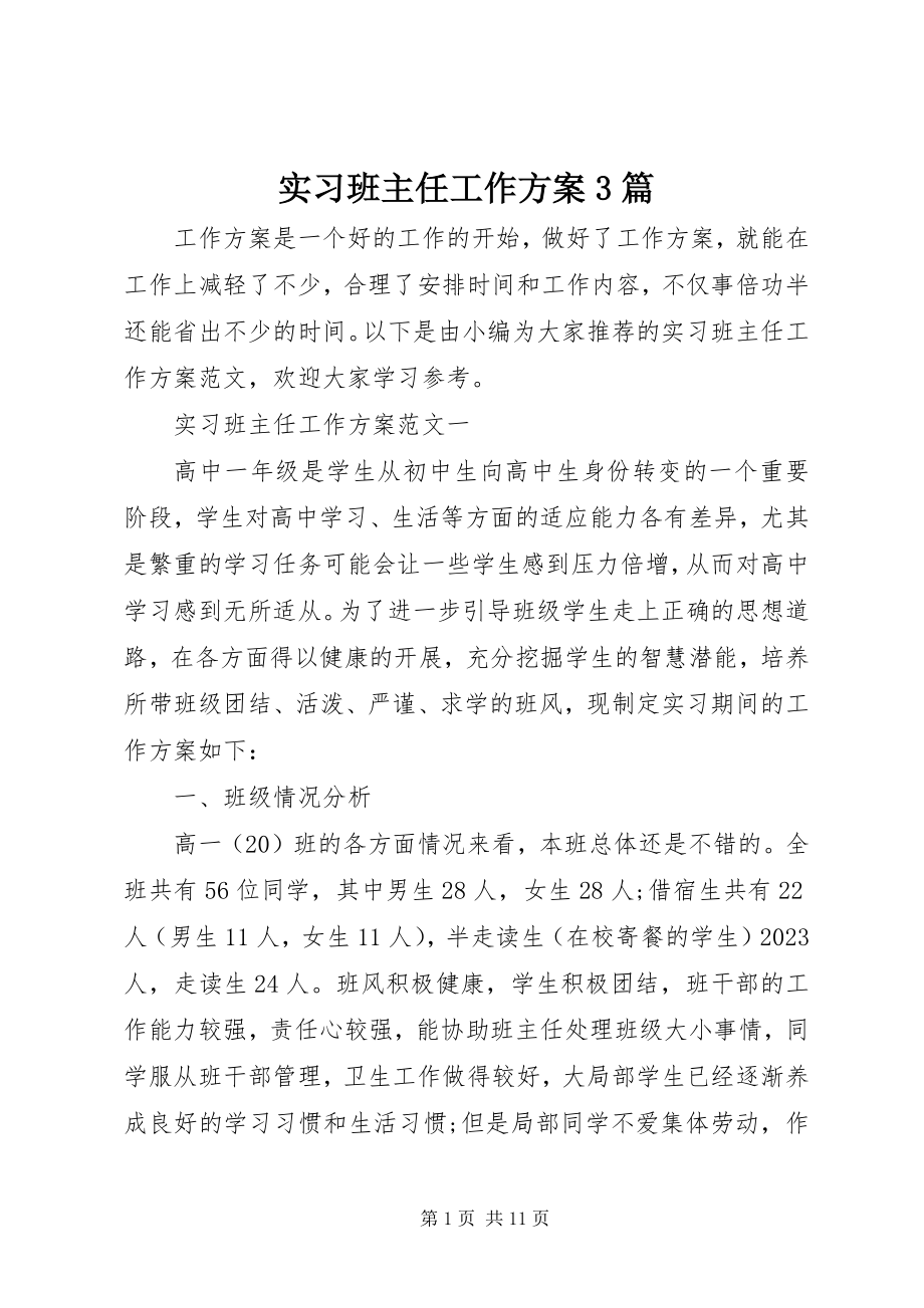 2023年实习班主任工作计划3篇.docx_第1页