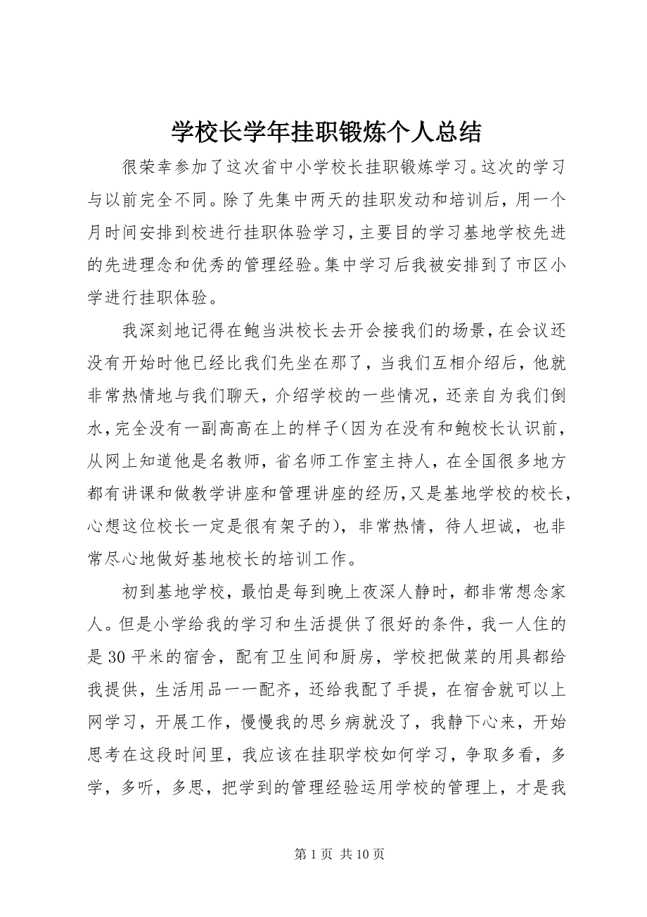 2023年学校长挂职锻炼个人总结.docx_第1页