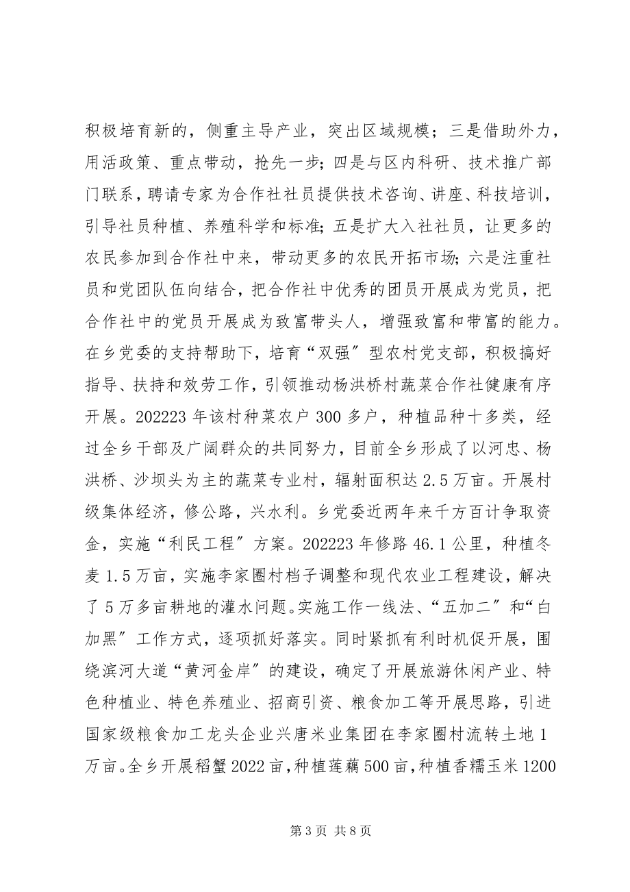 2023年乡党委先进基层组织先进材料.docx_第3页