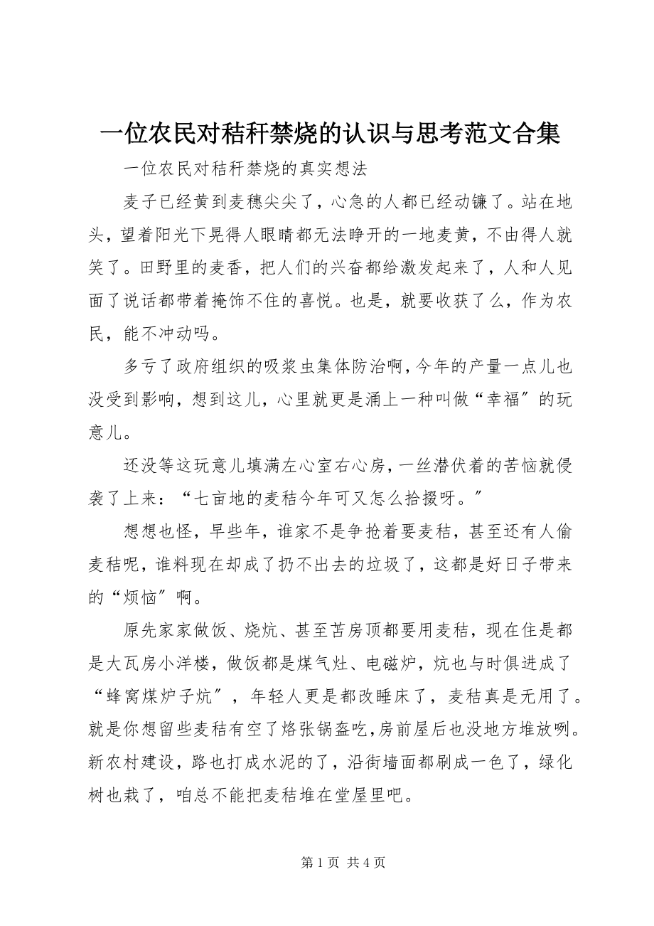 2023年一位农民对秸秆禁烧的认识与思考合集.docx_第1页