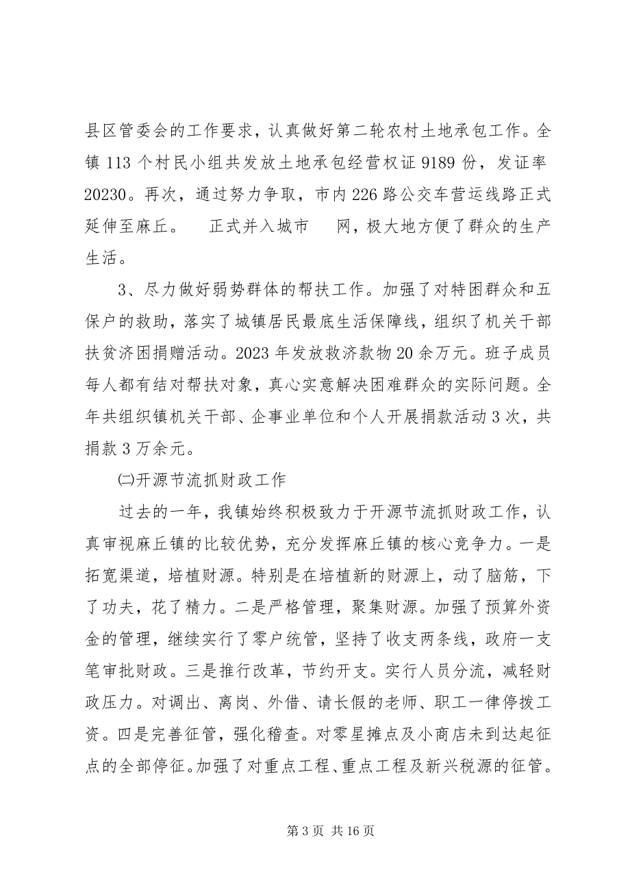 2023年麻丘镇工作总结.docx_第3页