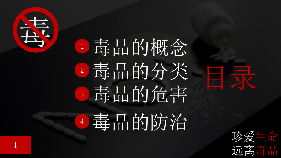 禁毒宣传教育模板（PPT）.pptx_第2页