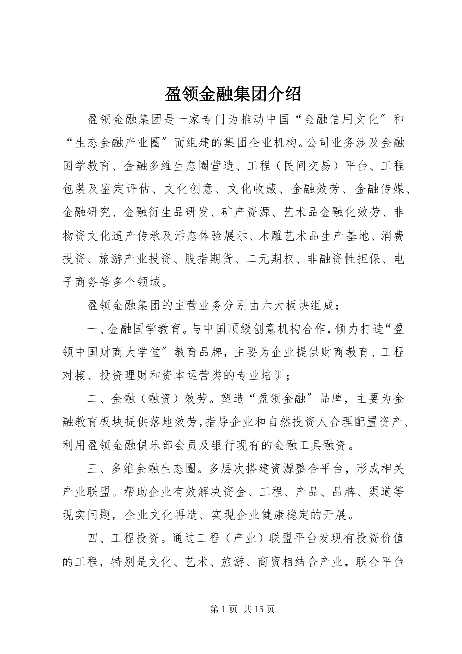 2023年盈领金融集团介绍.docx_第1页