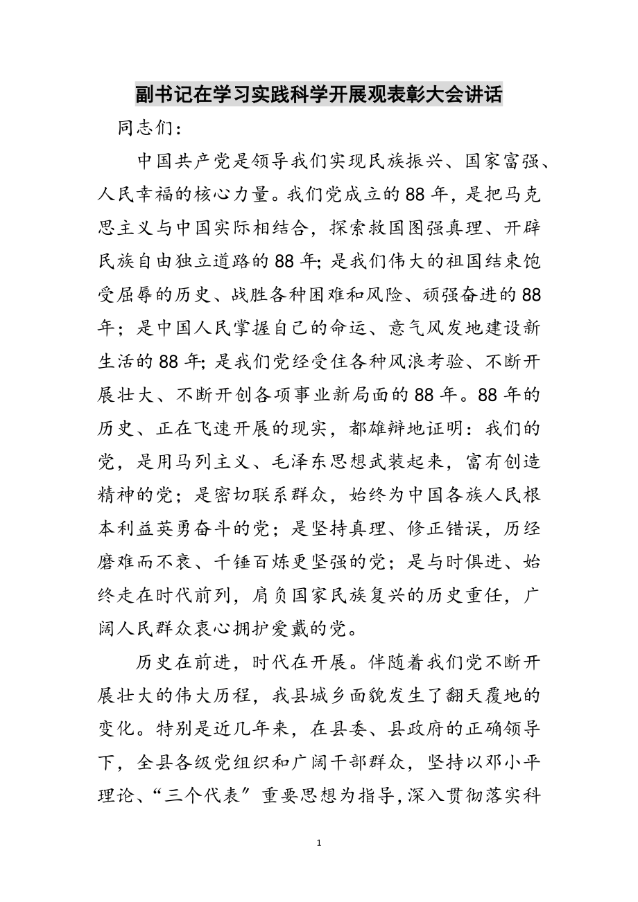 2023年副书记在学习实践科学发展观表彰大会讲话范文.doc_第1页