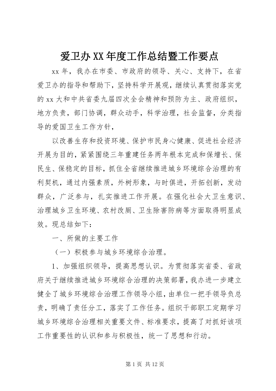 2023年爱卫办度工作总结暨工作要点新编.docx_第1页