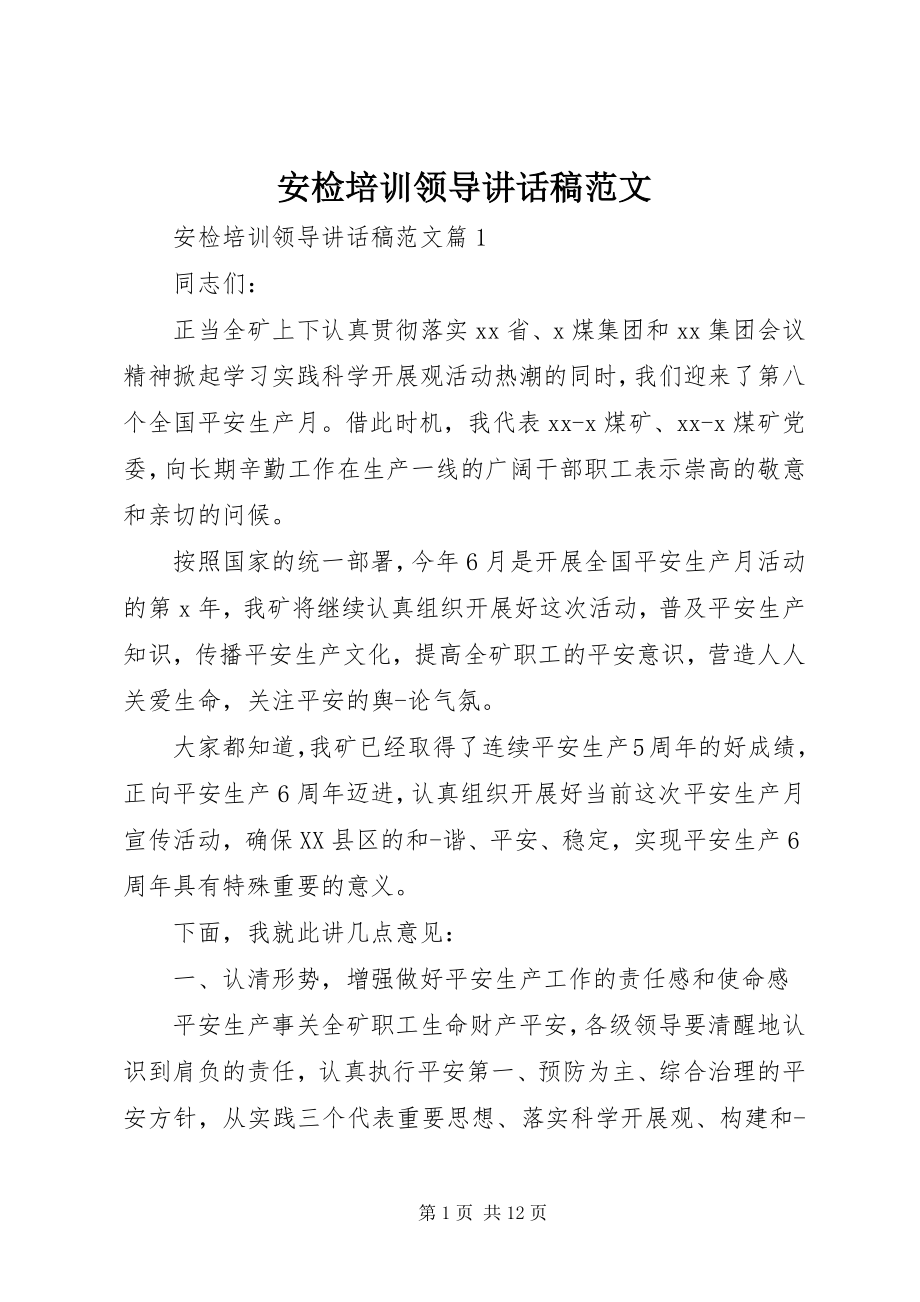 2023年安检培训领导致辞稿新编.docx_第1页