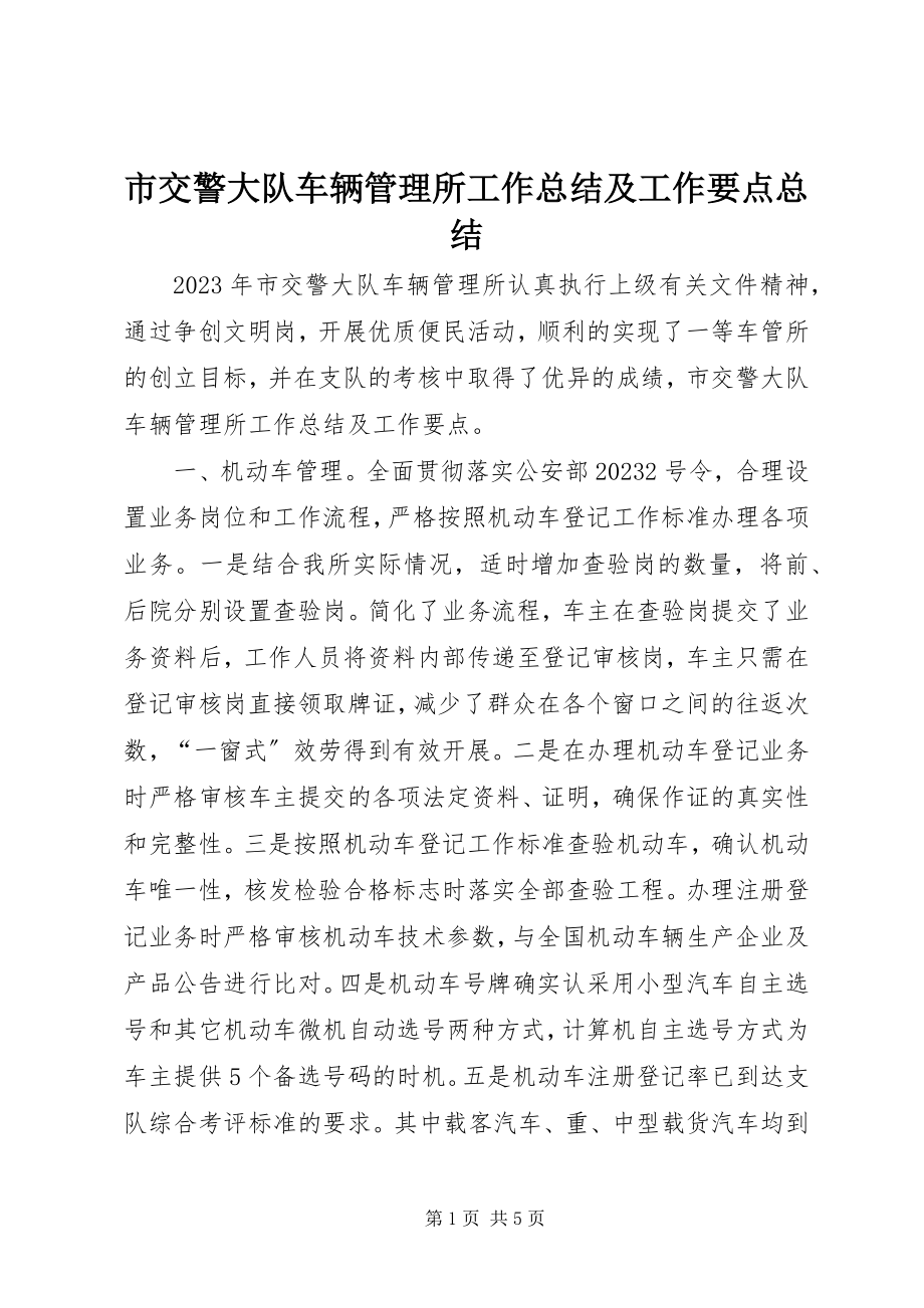 2023年市交警大队车辆管理所工作总结及工作要点总结.docx_第1页