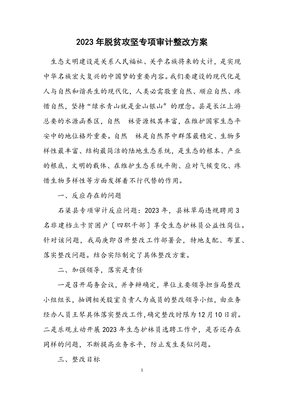 2023年脱贫攻坚专项审计整改方案.docx_第1页