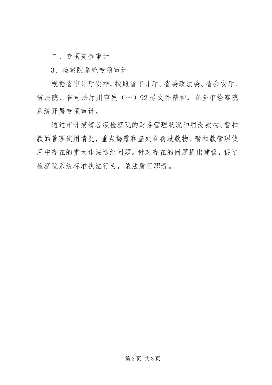 2023年度审计工作计划.docx_第3页