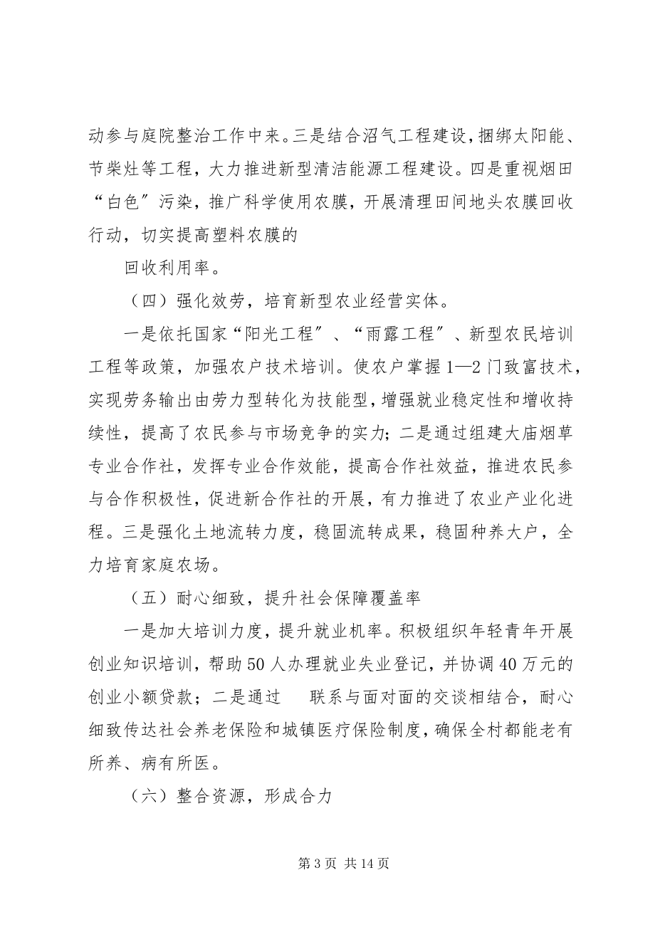 2023年关口镇大庙村美丽乡村建设典型材料.docx_第3页