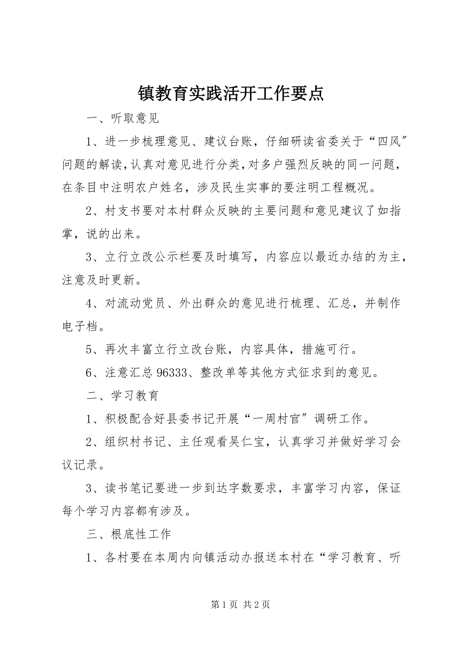 2023年镇教育实践活动工作要点.docx_第1页