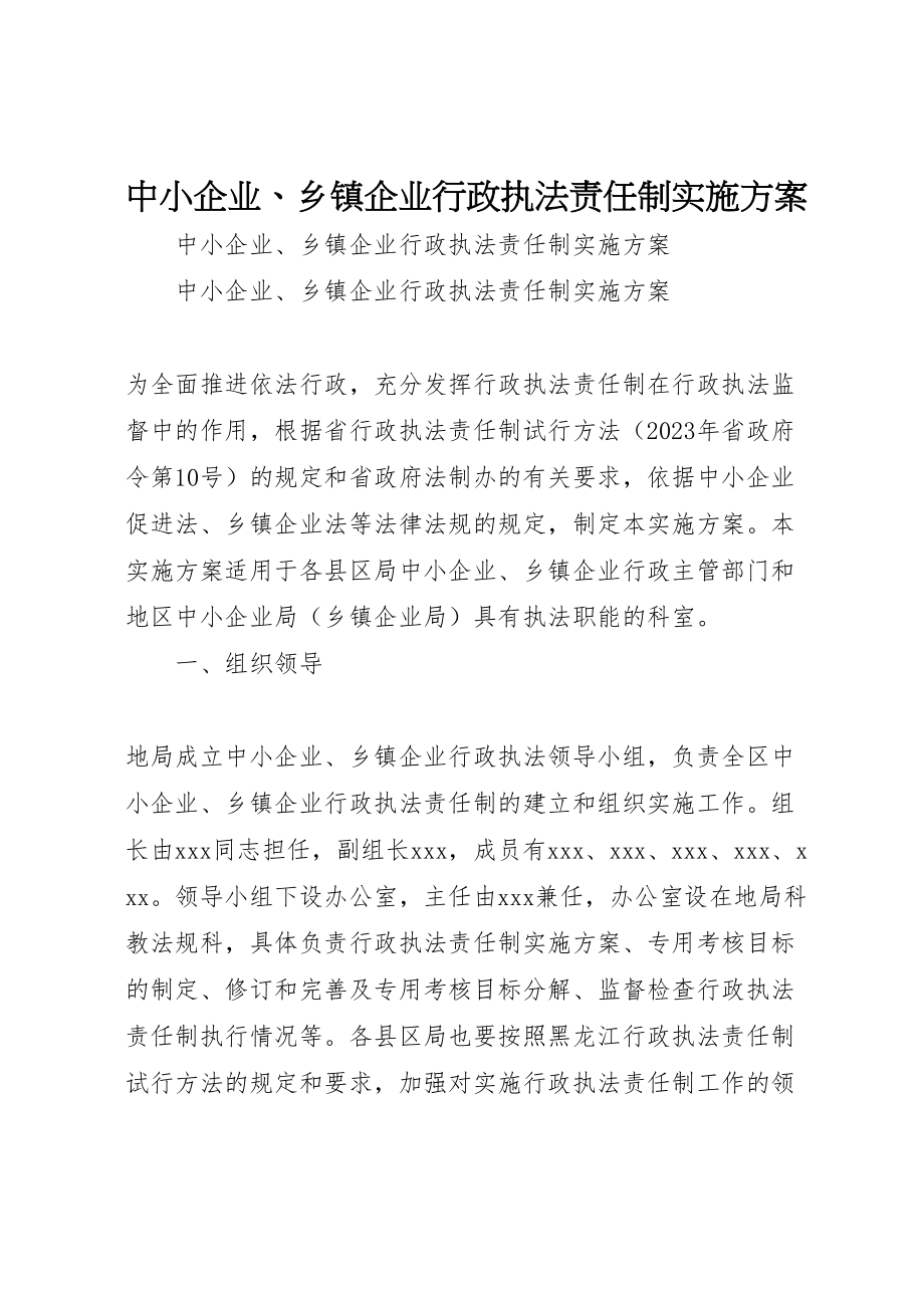 2023年中小企业乡镇企业行政执法责任制实施方案.doc_第1页