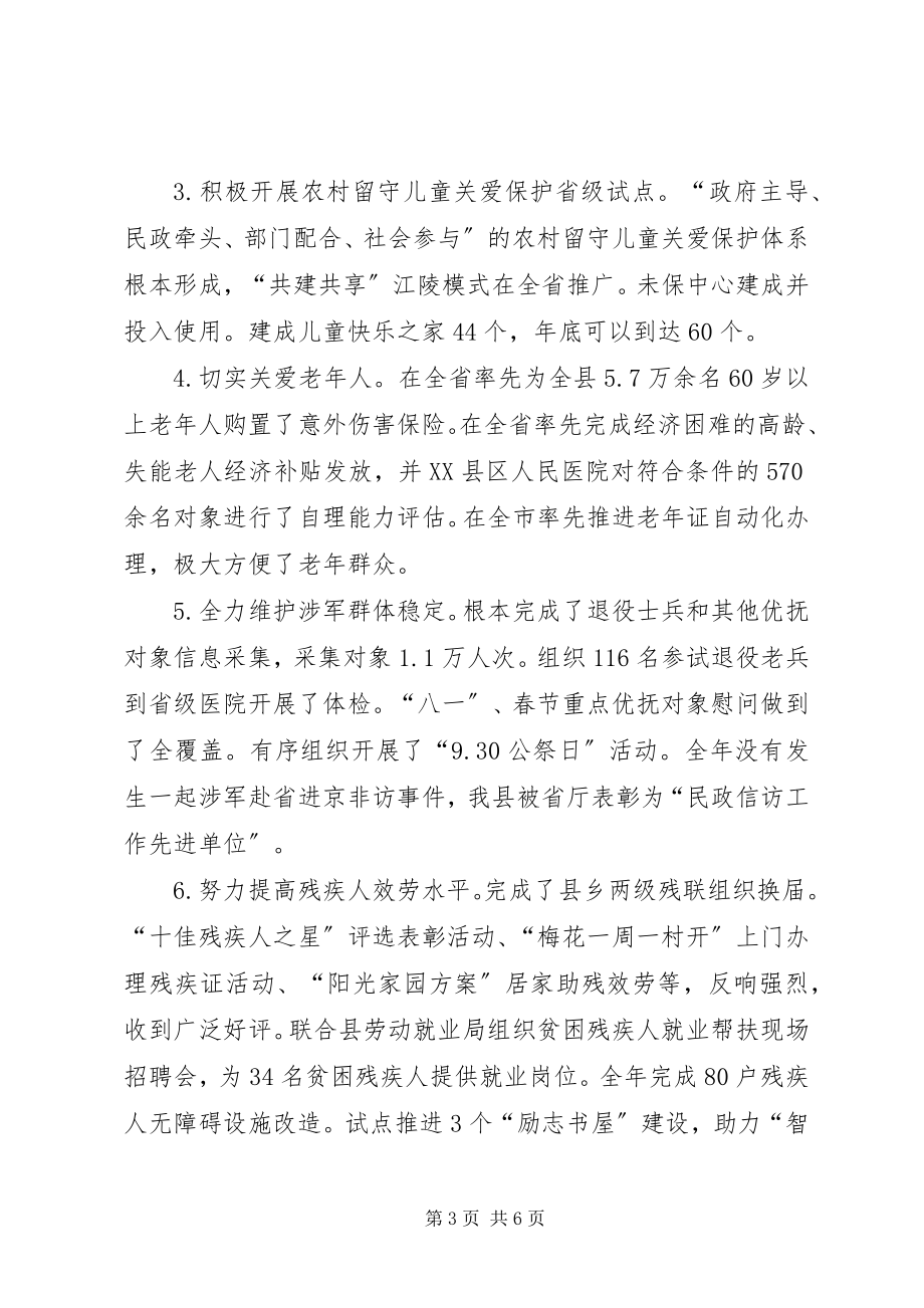 2023年XX县区民政局度工作总结暨工作计划2新编.docx_第3页