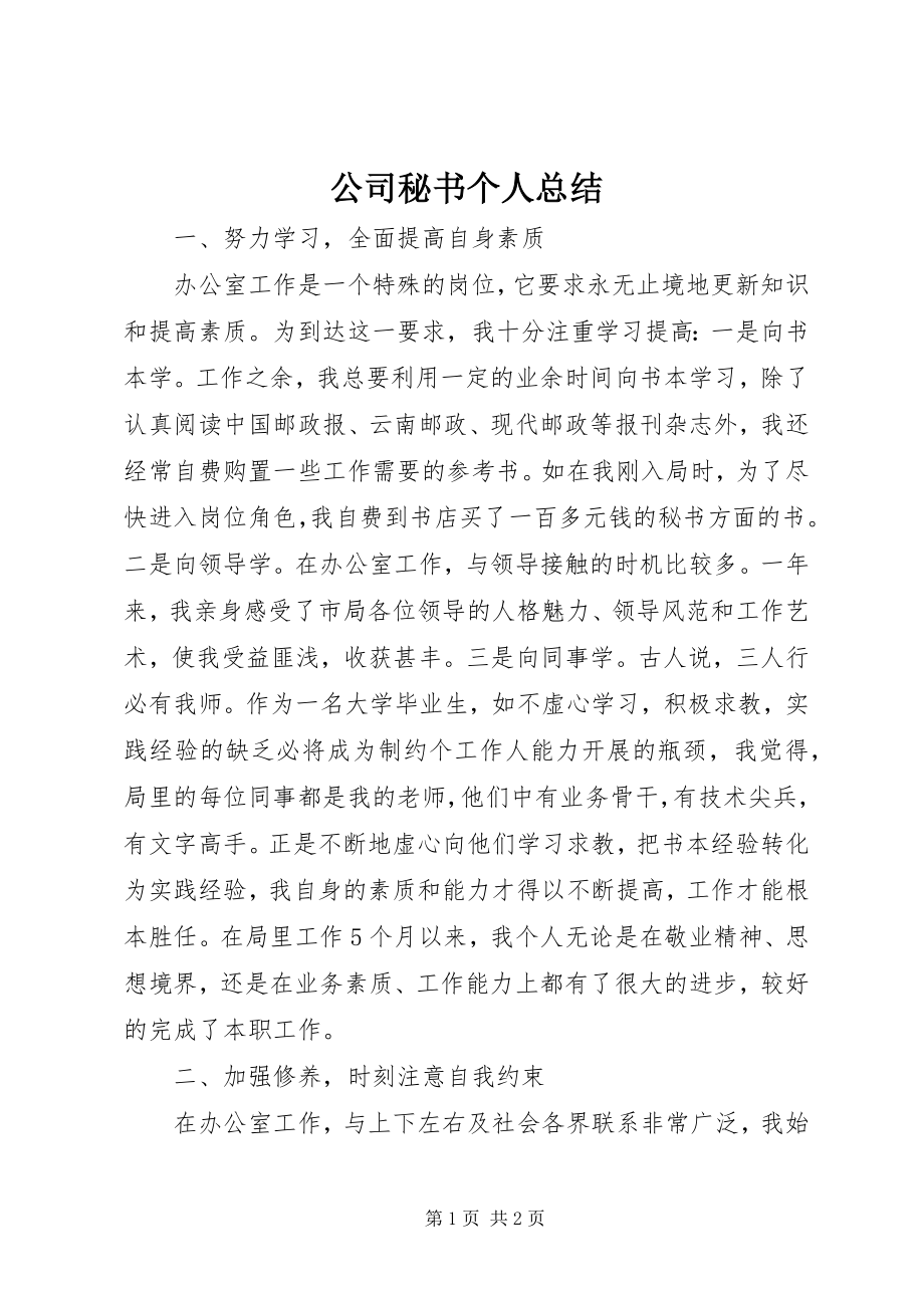 2023年公司秘书个人总结.docx_第1页