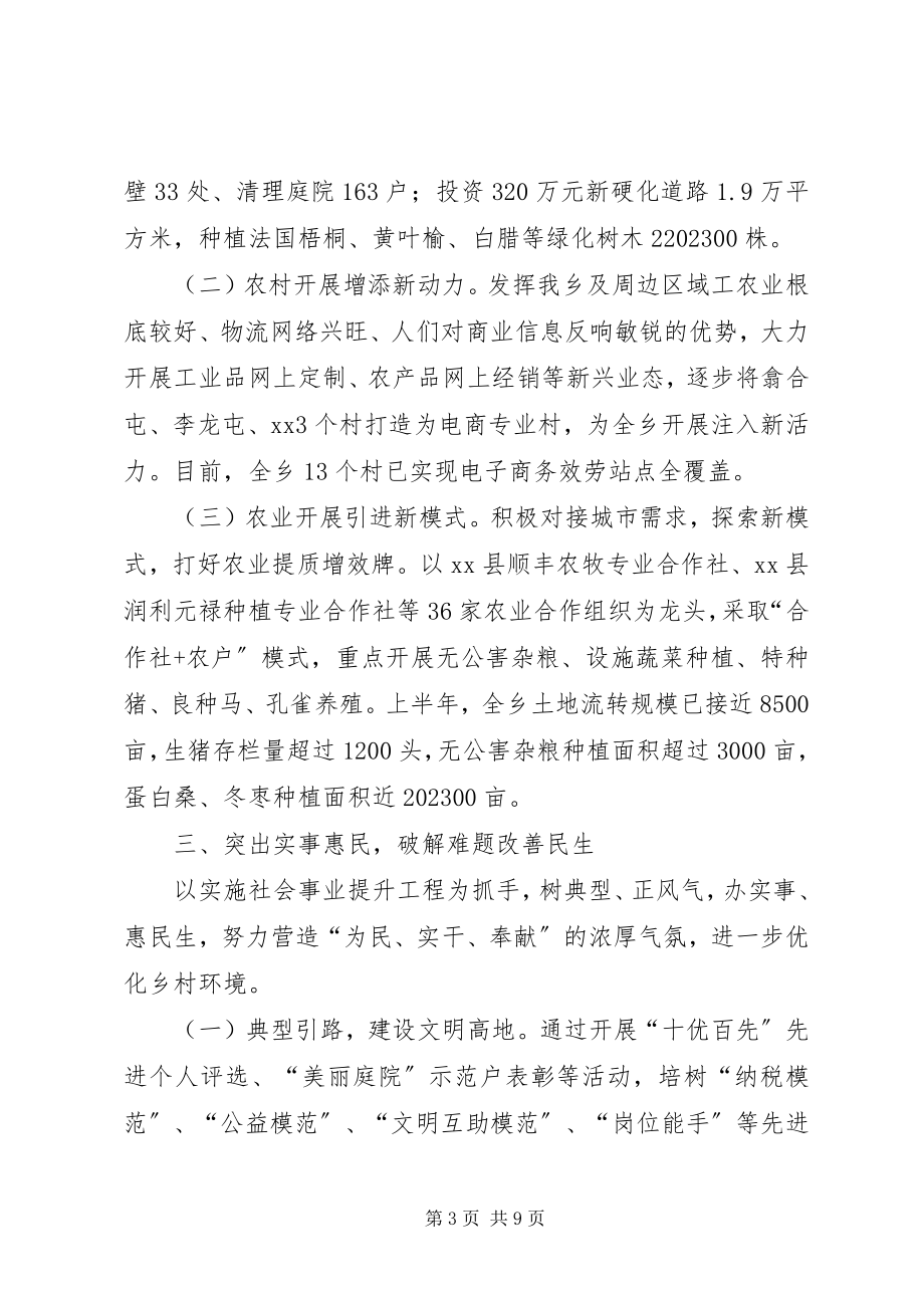 2023年乡上半年工作总结及下半年重点工作安排.docx_第3页