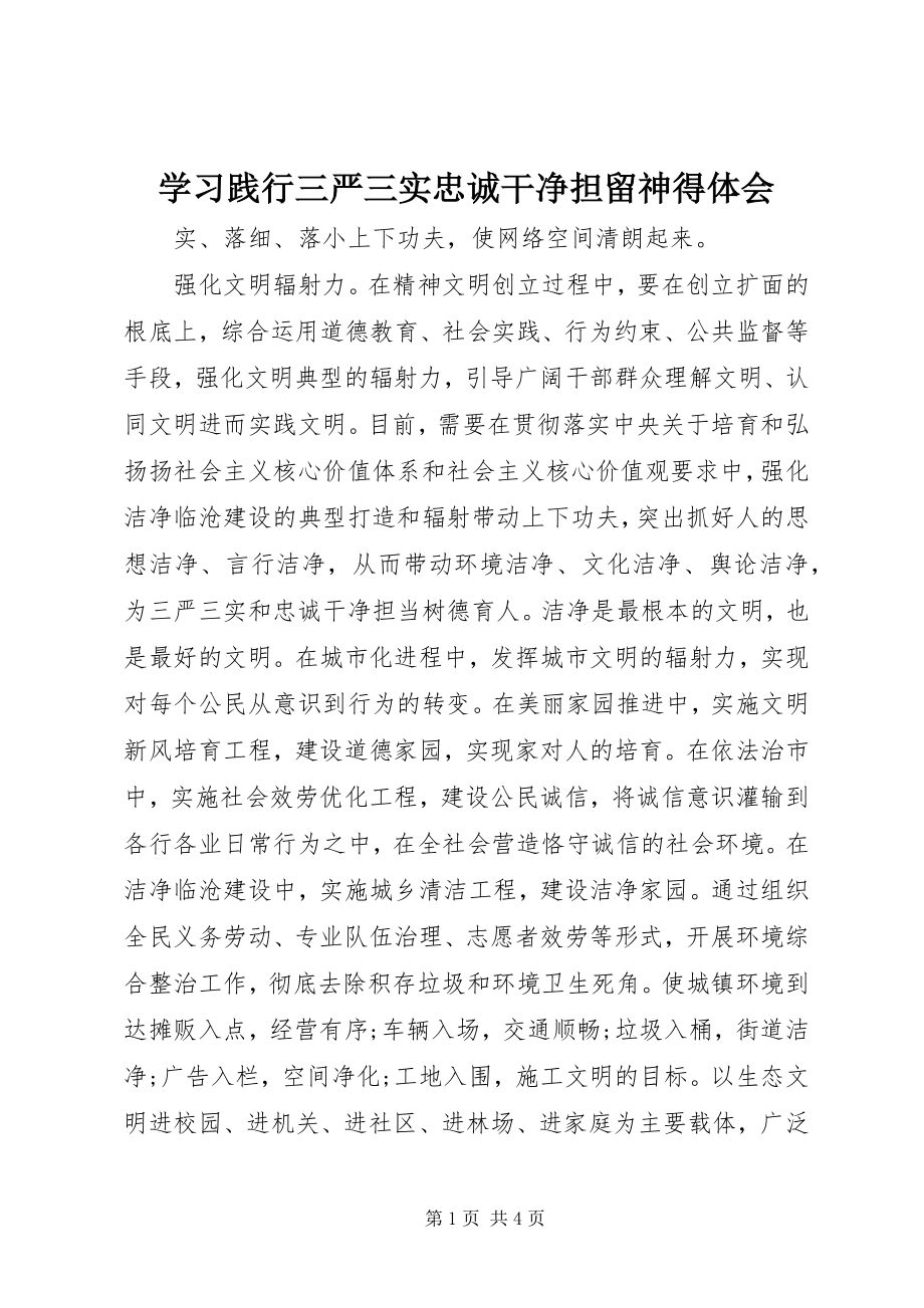 2023年学习践行三严三实忠诚干净担当心得体会.docx_第1页