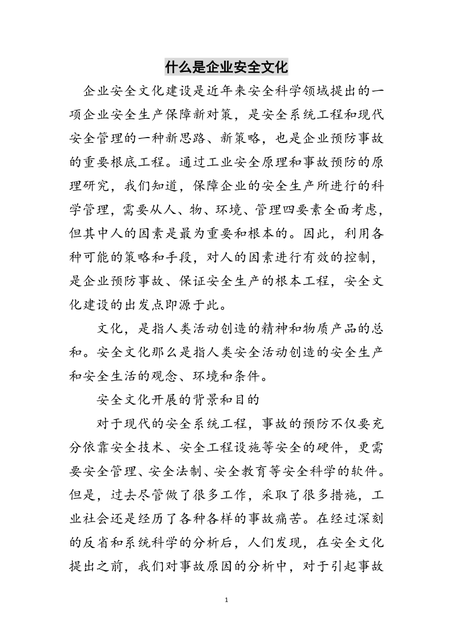 2023年什么是企业安全文化范文.doc_第1页