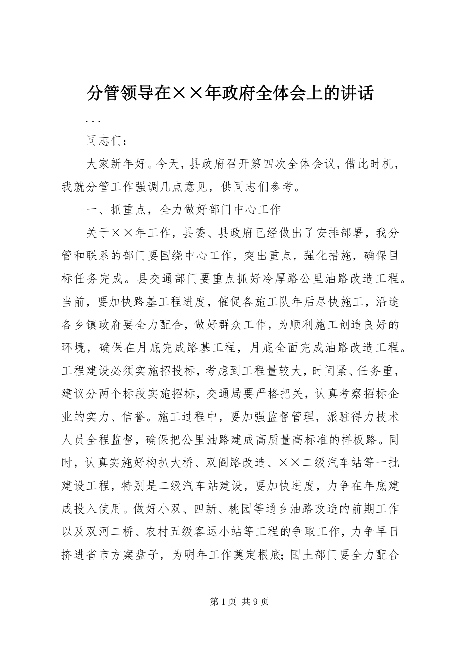 2023年分管领导在××年政府全体会上的致辞.docx_第1页