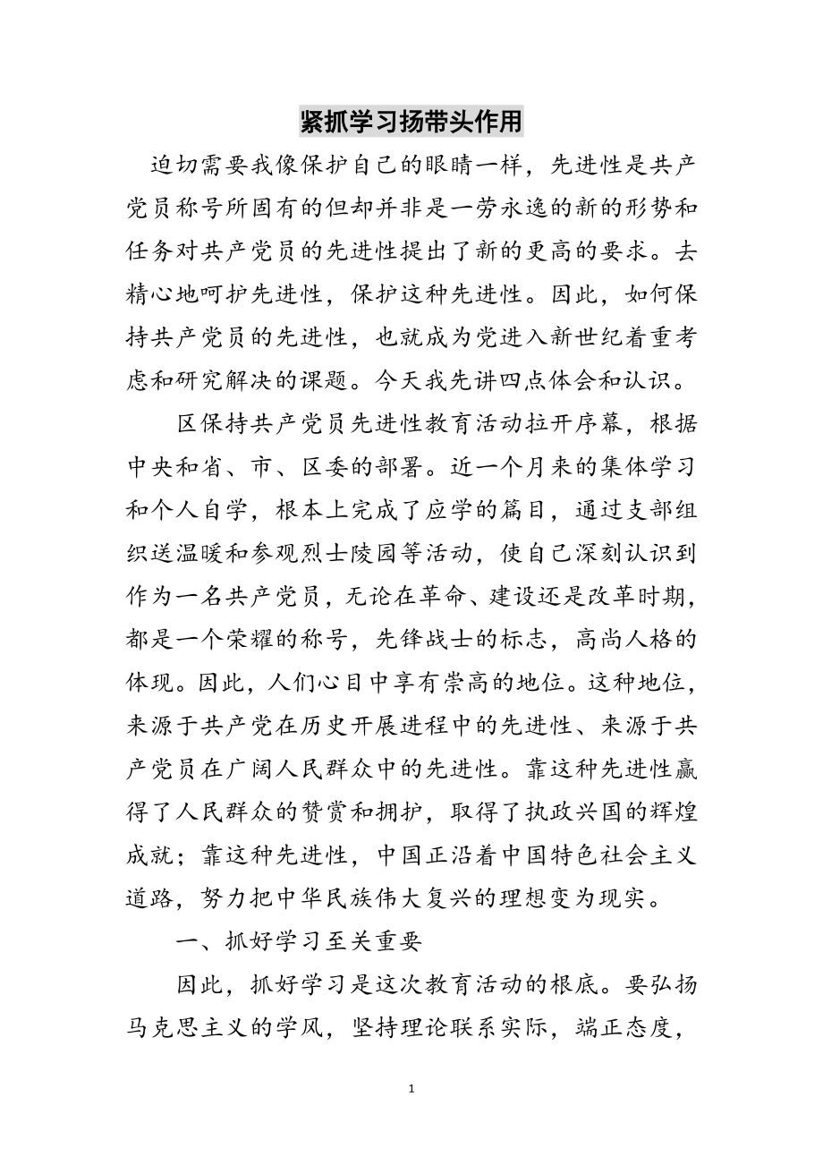 2023年紧抓学习扬带头作用范文.doc_第1页