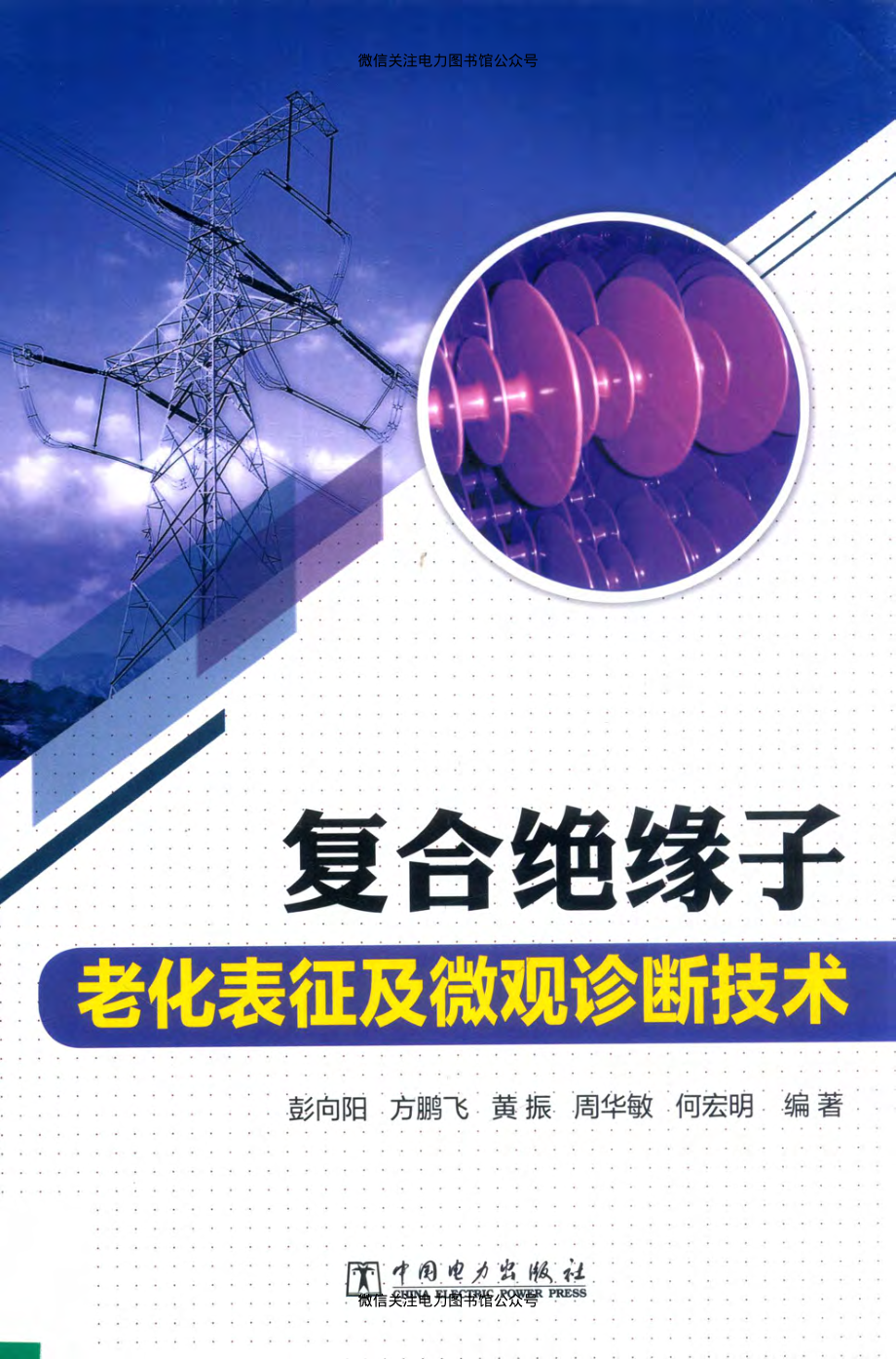 复合绝缘子老化表征及微观诊断技术 彭向阳 等编著 2018年版.pdf_第1页