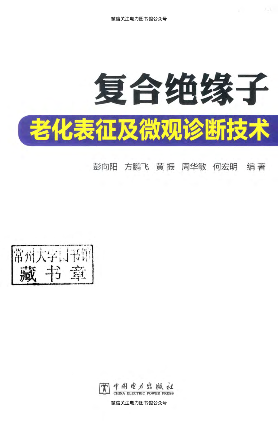 复合绝缘子老化表征及微观诊断技术 彭向阳 等编著 2018年版.pdf_第3页