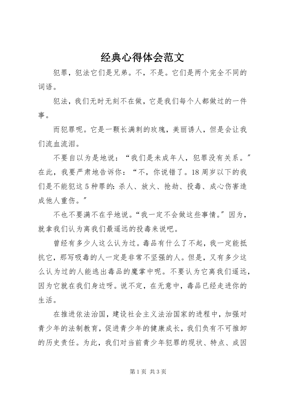 2023年经典心得体会.docx_第1页