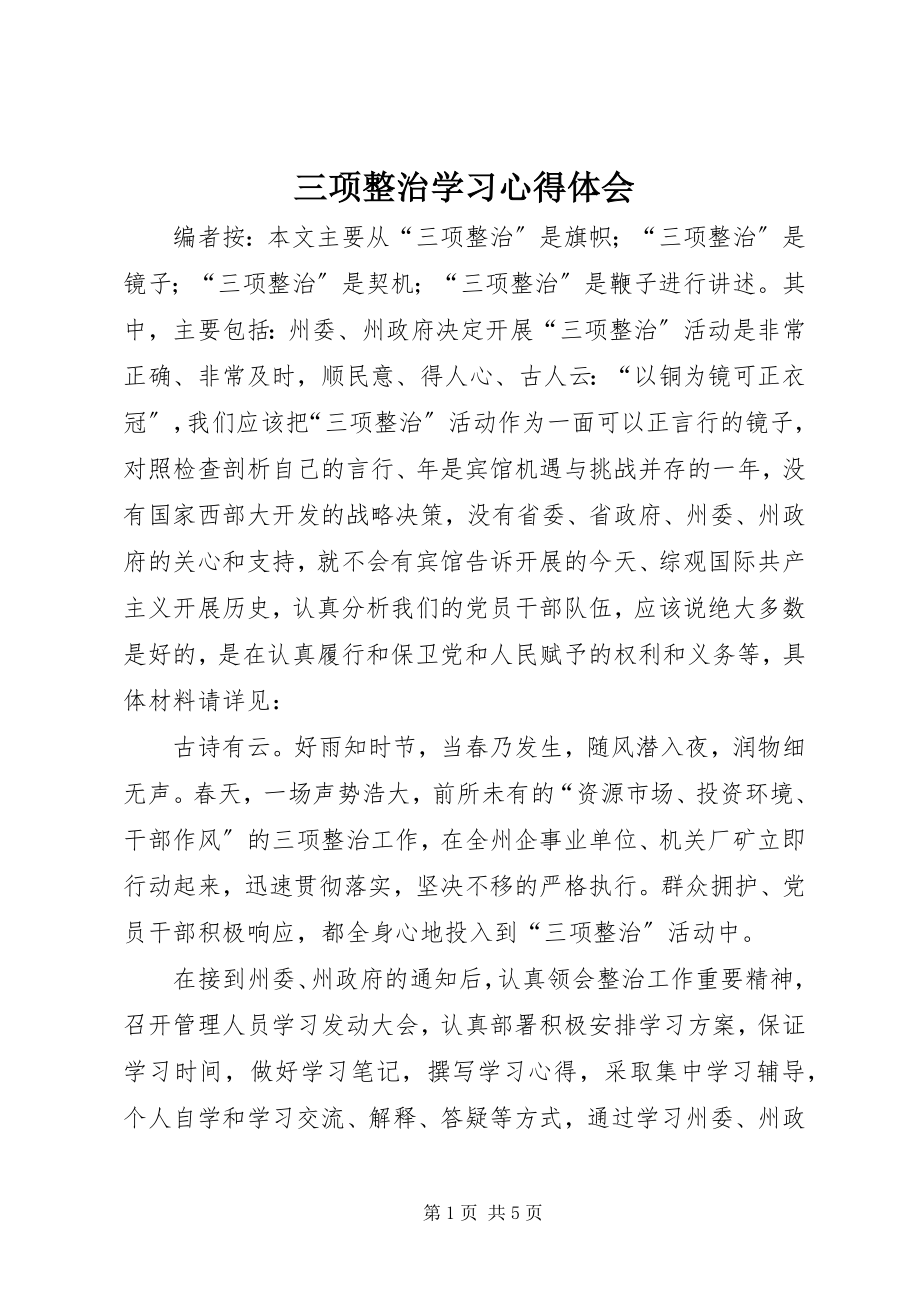 2023年三项整治学习心得体会.docx_第1页