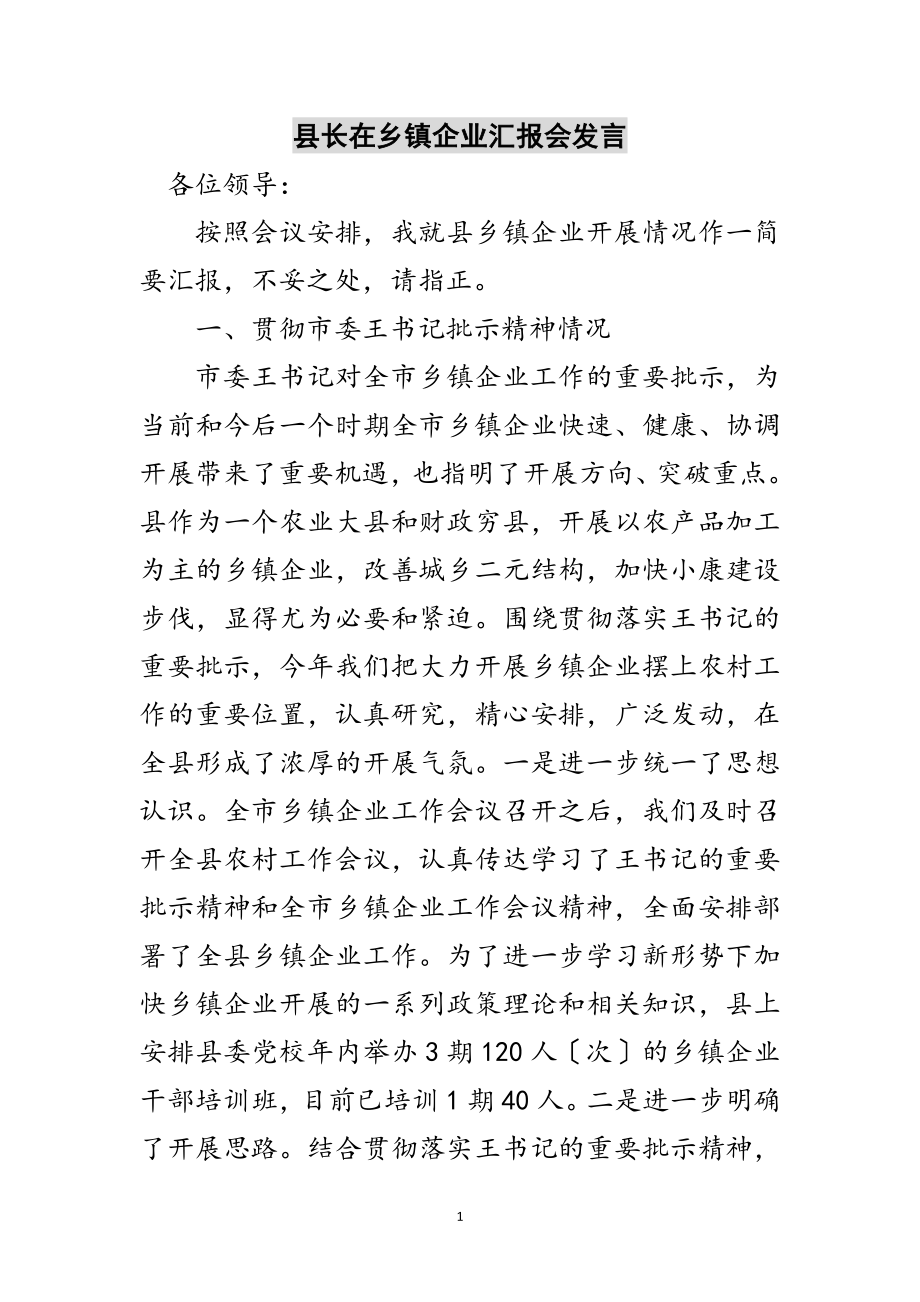 2023年县长在乡镇企业汇报会发言范文.doc_第1页