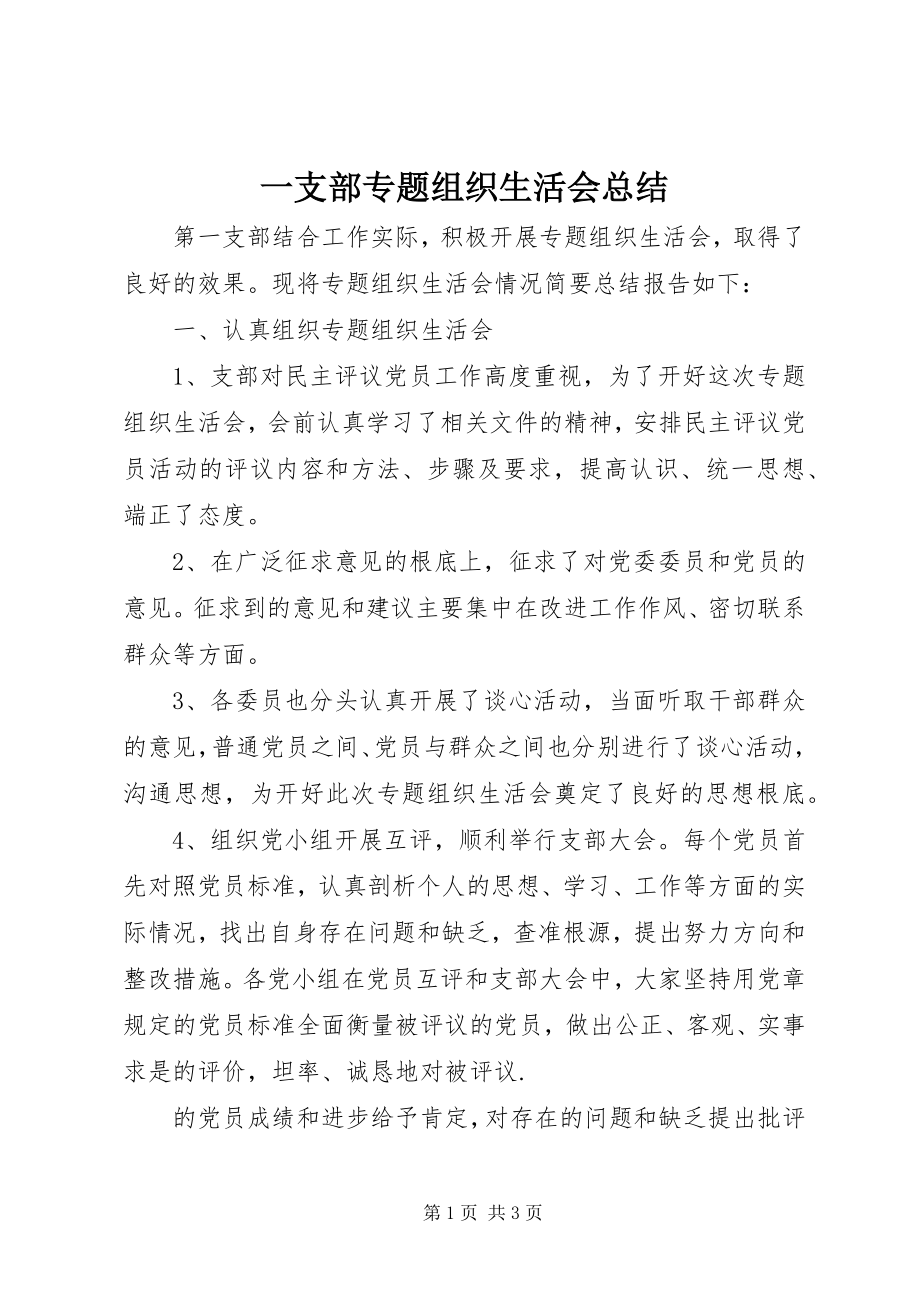 2023年一支部专题组织生活会总结.docx_第1页