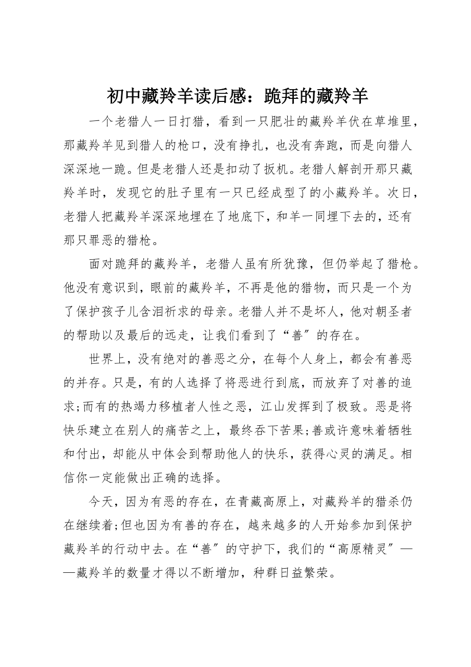 2023年初中藏羚羊读后感跪拜的藏羚羊.docx_第1页