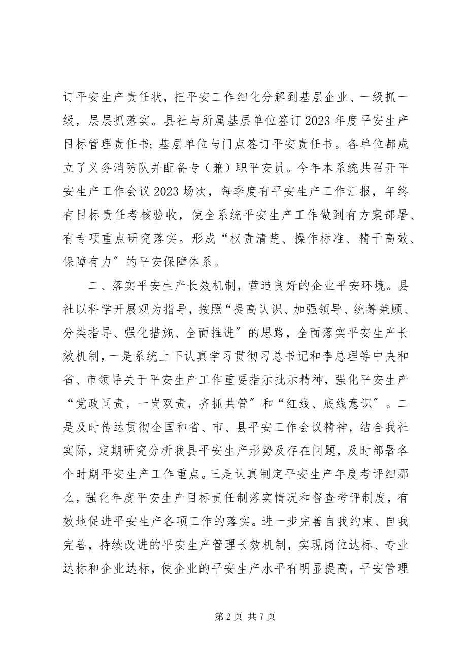 2023年乡镇供销社年度安全生产工作总结.docx_第2页