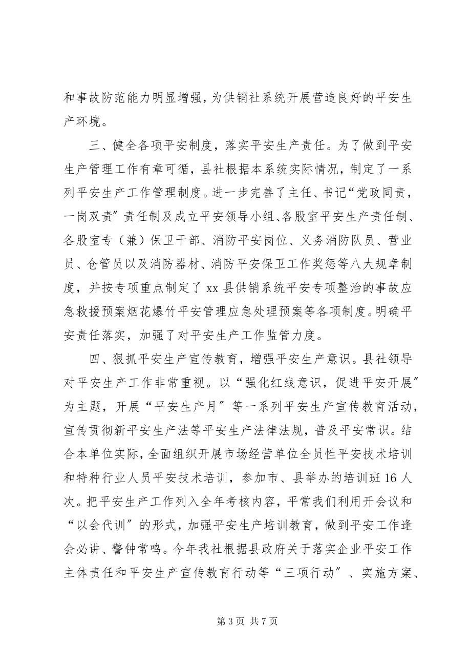 2023年乡镇供销社年度安全生产工作总结.docx_第3页