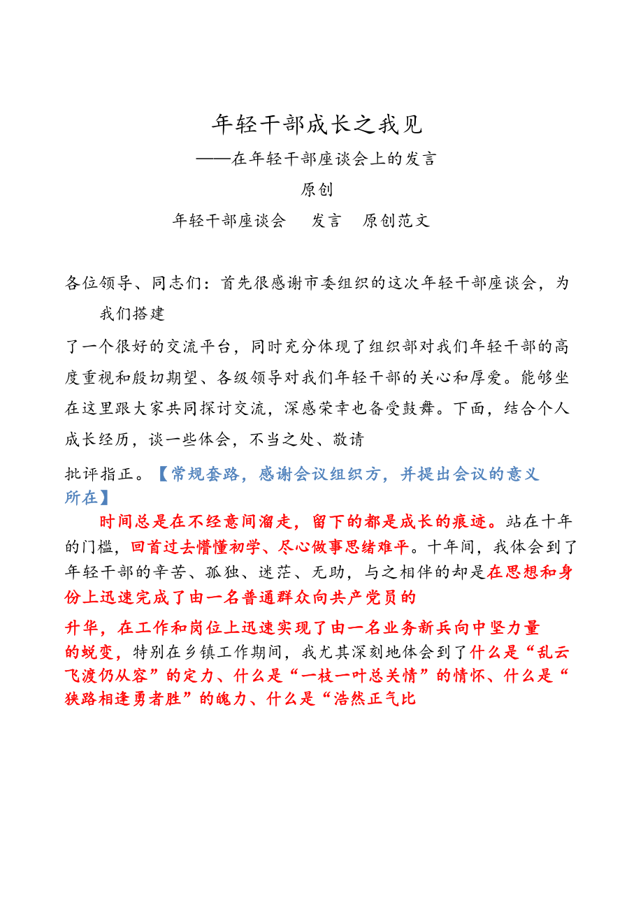 年轻干部座谈会发言怎么写一套汇编解你忧！.docx_第2页