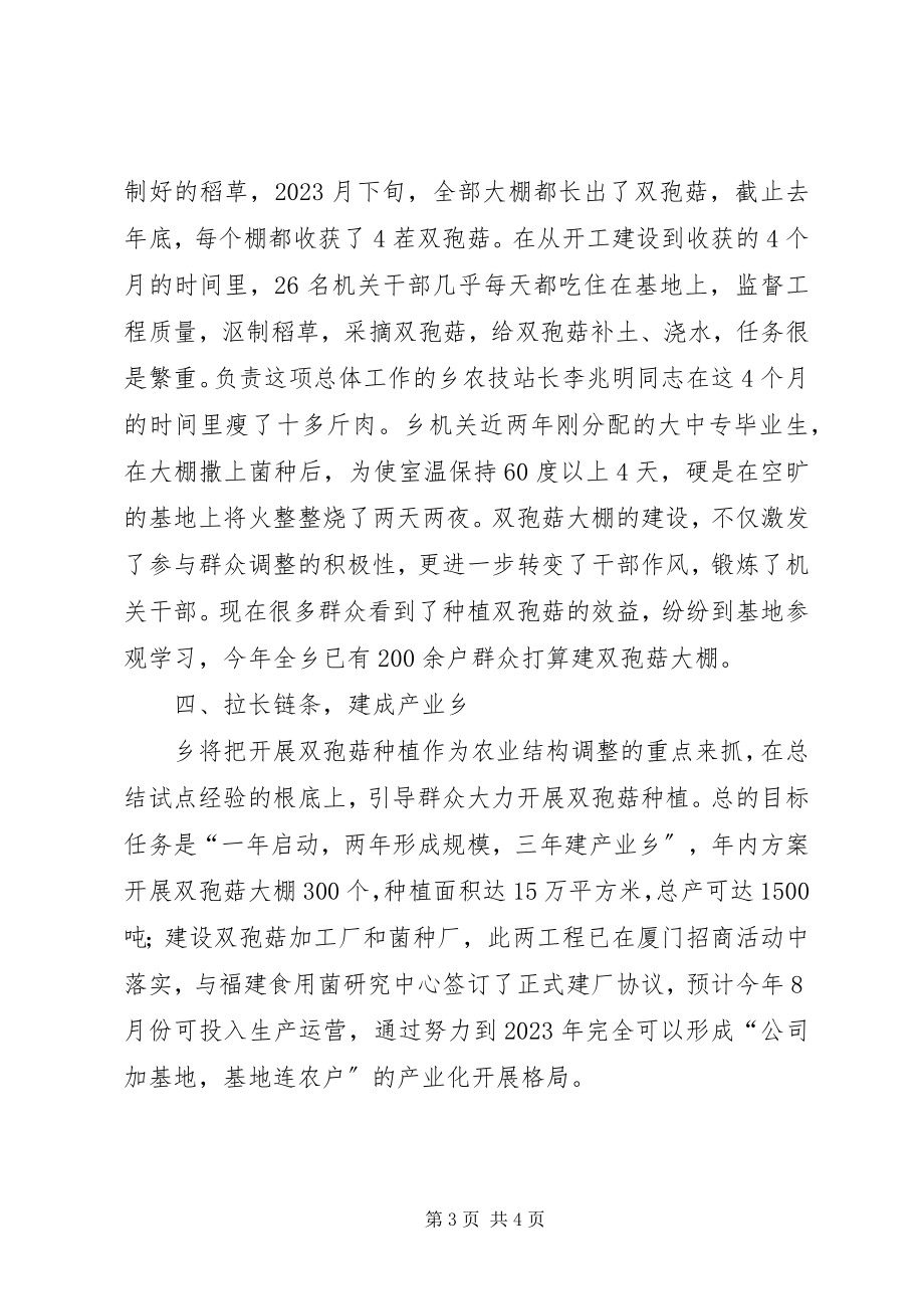 2023年乡农业结构调整情况汇报.docx_第3页