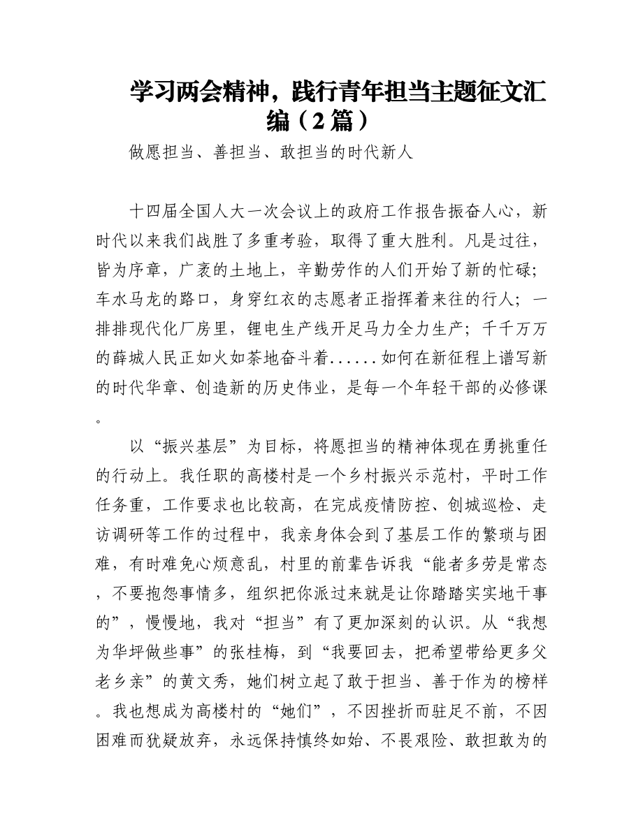 学习两会精神践行青年担当主题征文汇编（2篇）.docx_第1页