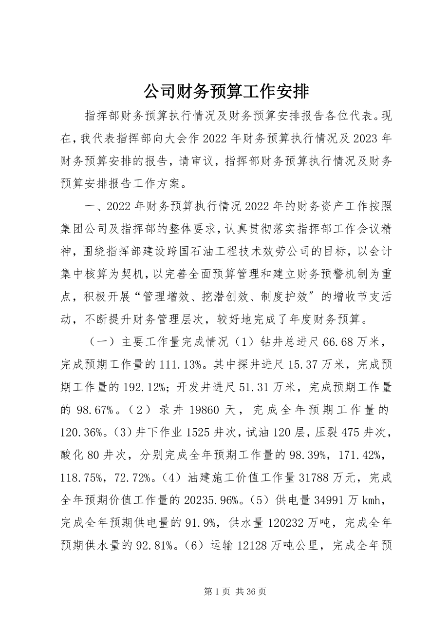 2023年公司财务预算工作安排.docx_第1页