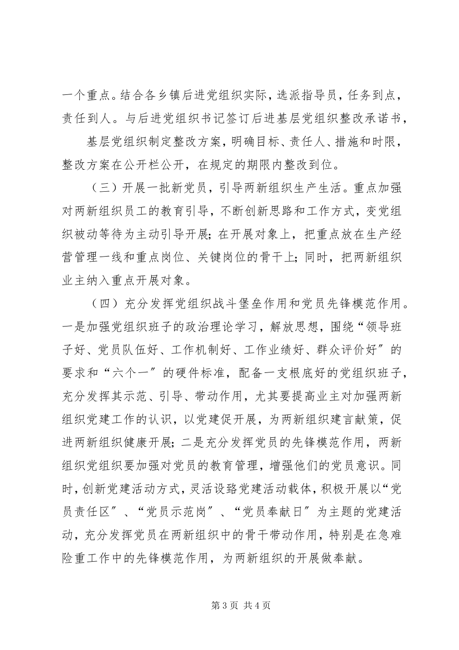 2023年两新组织后进党组织整改方案.docx_第3页