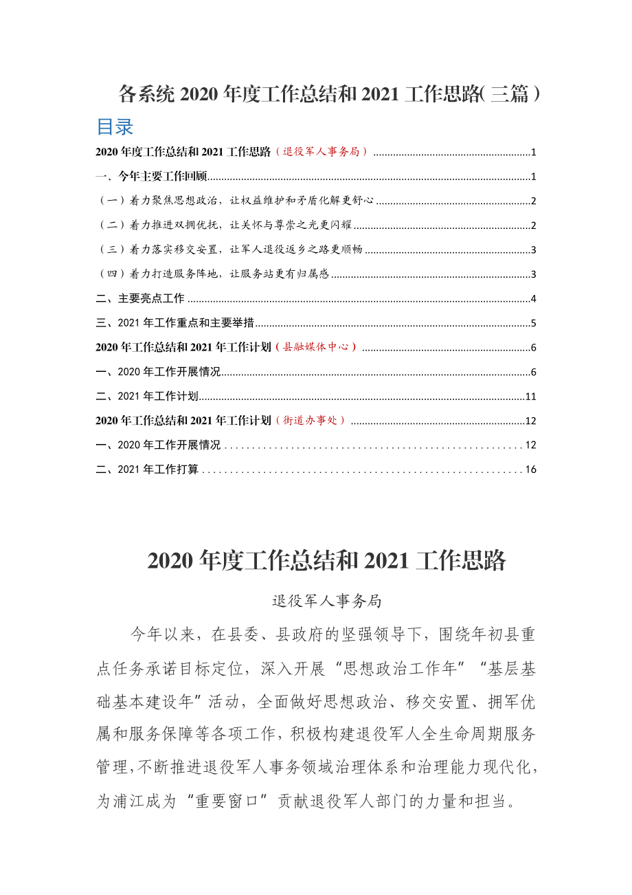 各系统2020年度工作总结和2021工作思路（三篇）.doc_第1页