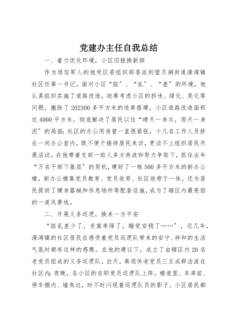 2023年党建办主任自我总结.docx_第1页