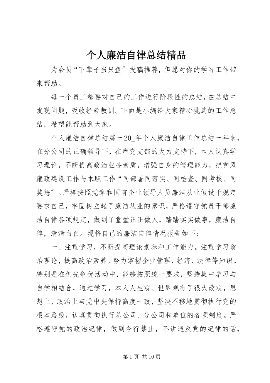 2023年个人廉洁自律总结精品.docx_第1页