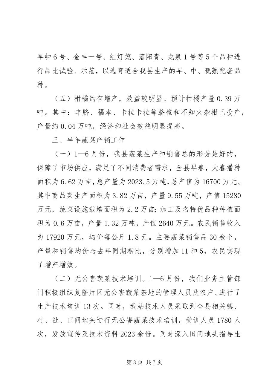 2023年农业局多经站半年工作总结.docx_第3页