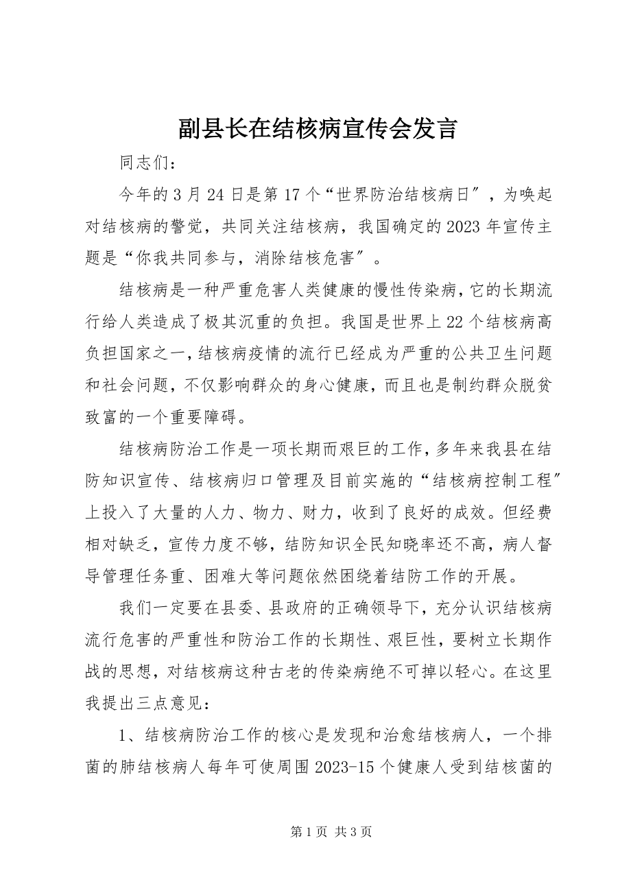 2023年副县长在结核病宣传会讲话.docx_第1页