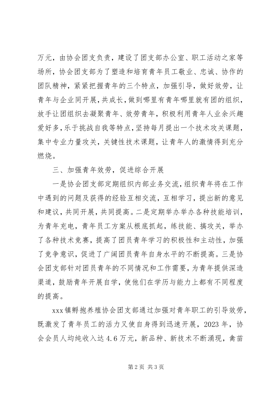 2023年养殖协会团支部先进事迹.docx_第2页