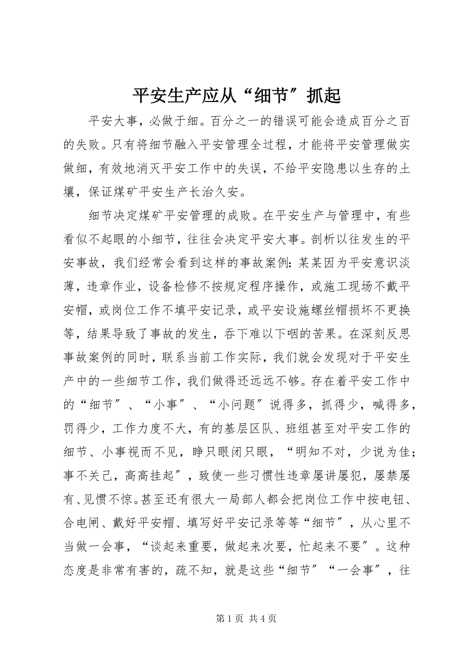 2023年安全生产应从“细节”抓起新编.docx_第1页